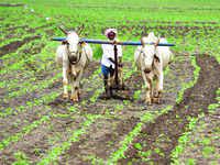 Monsoon rains to cover all of India earlier than usual, accelerate crop sowing