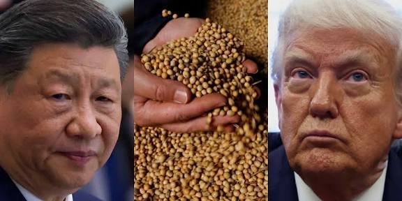 Headache for Trump: US Soybean Farmers Face Worst Crisis in Decades as China Halts Imports